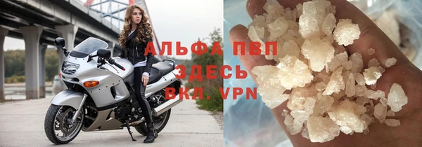 ПСИЛОЦИБИНОВЫЕ ГРИБЫ Елабуга