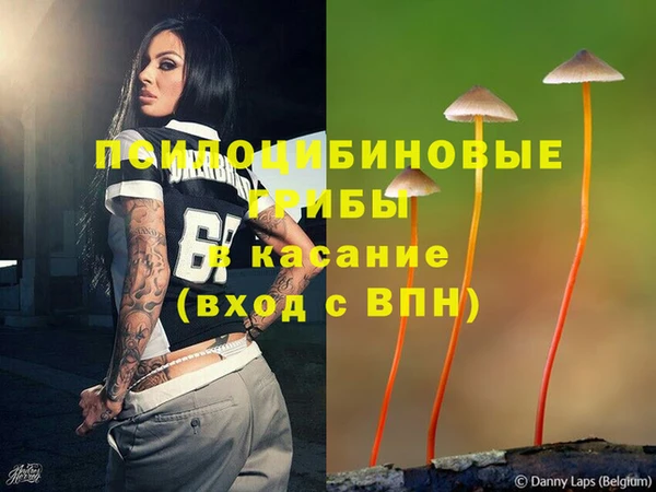 герыч Ельня