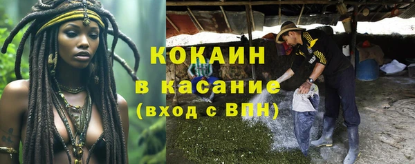 ПСИЛОЦИБИНОВЫЕ ГРИБЫ Елабуга