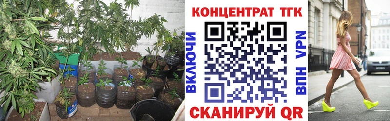 Купить  Северск  Дистиллят ТГК вейп с тгк 